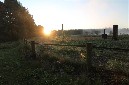  #845